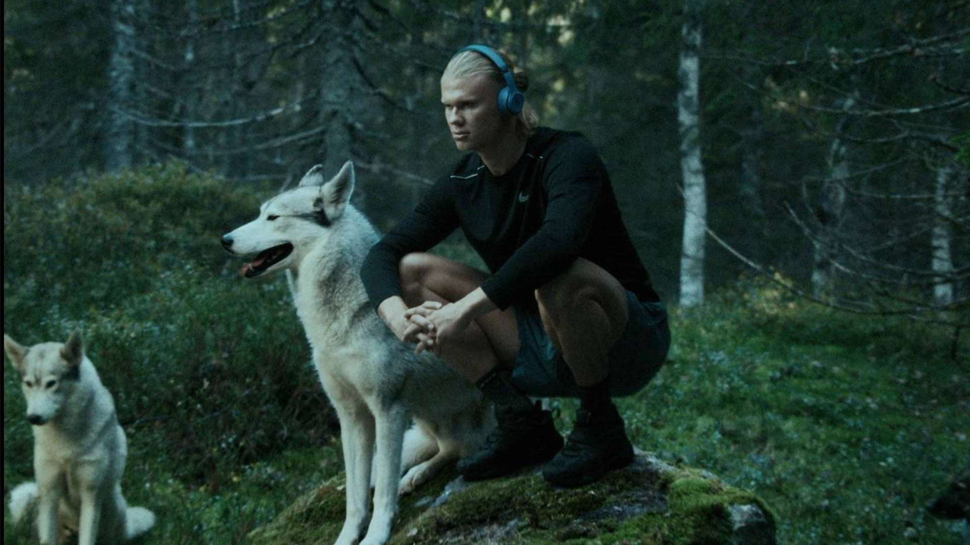 上的投入与 上的投入与